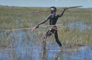 Australian Aborigine Hunting in Swamp