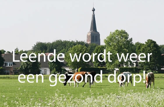 hoe word ik gezond 100 jaar