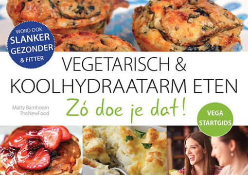 VEGA-STARTGIDS Boek