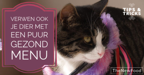 Puur gezond eten ook voor je huisdier