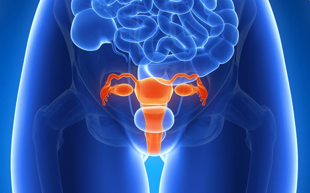 PCOS PMS OVERGANGSKLACHTEN en ENDOMETRIOSE