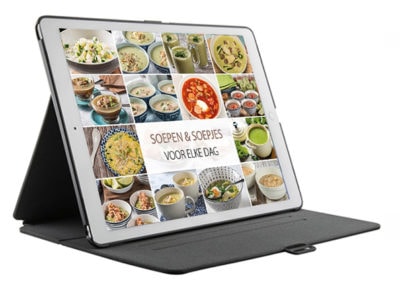 SOEPSPECIAL PDF