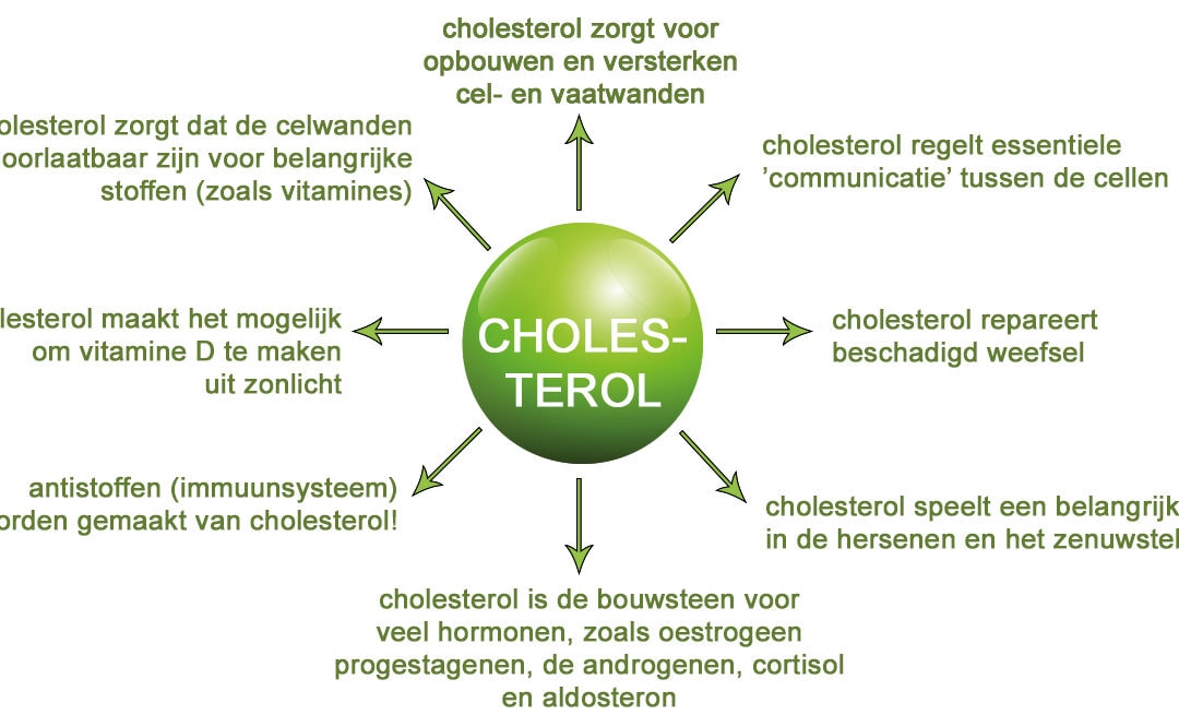 Cholesterol en de koolhydraatarme/keto aanpak