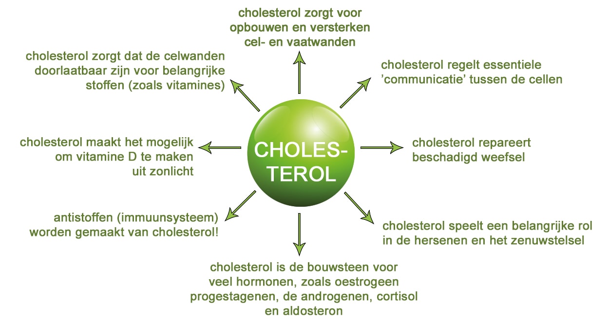 Cholesterol en de koolhydraatarme/keto aanpak