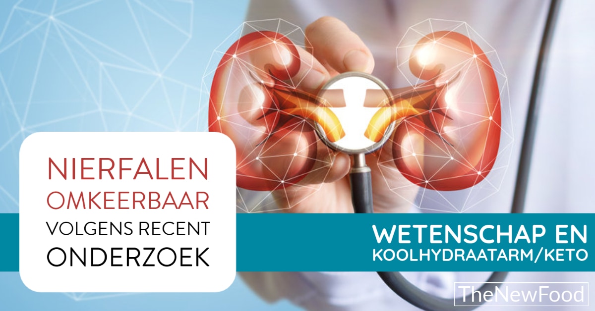 Onderzoek: Keto kan nierfunctie verbeteren