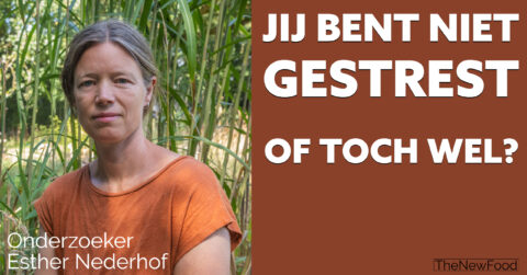BLOG 4 Hoe gestrest ben jij?