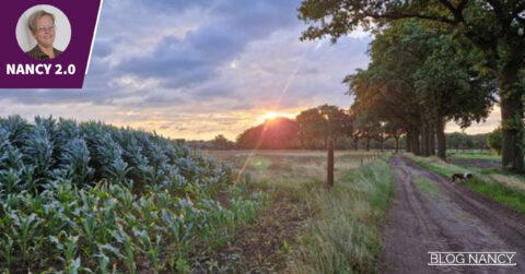 BLOG 58 Weer op de goede weg