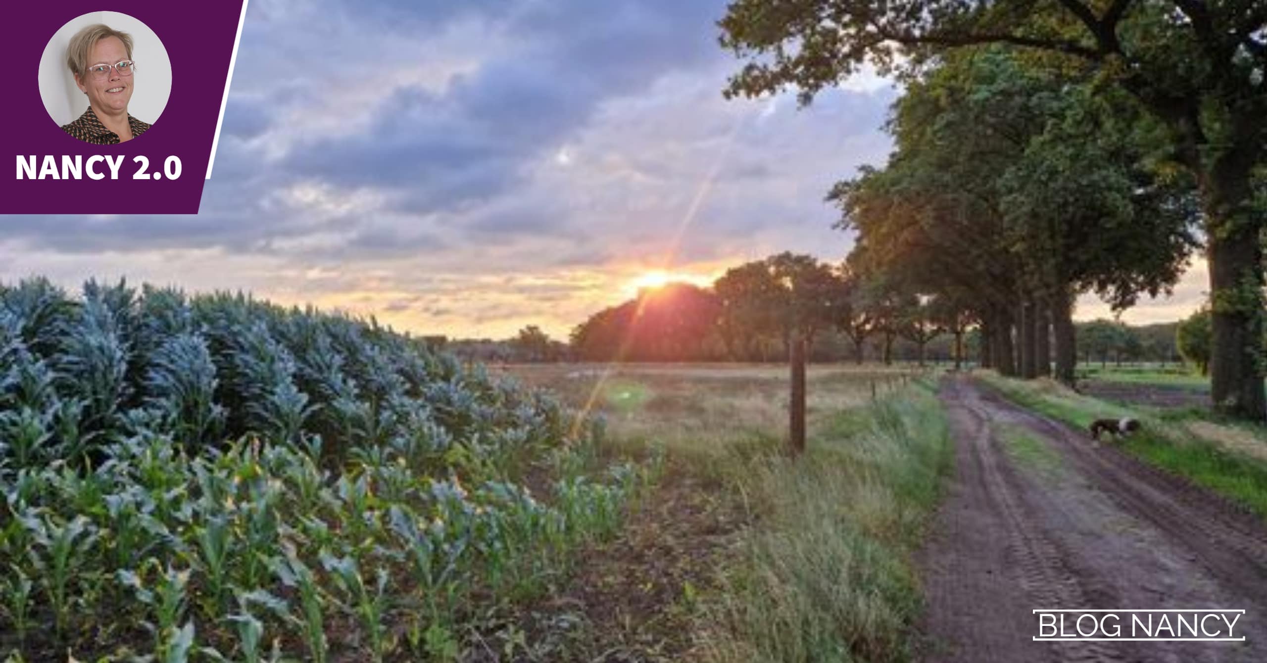 BLOG 58 Weer op de goede weg