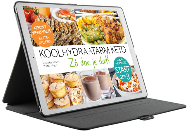 STARTGIDS DEEL 3 PDF