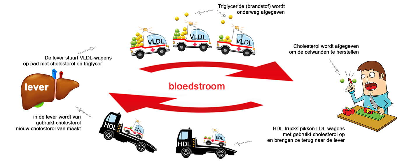 bloedstroom